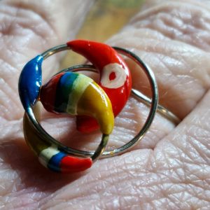 Anillos